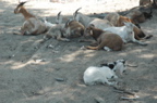 DSC_6536.JPG
